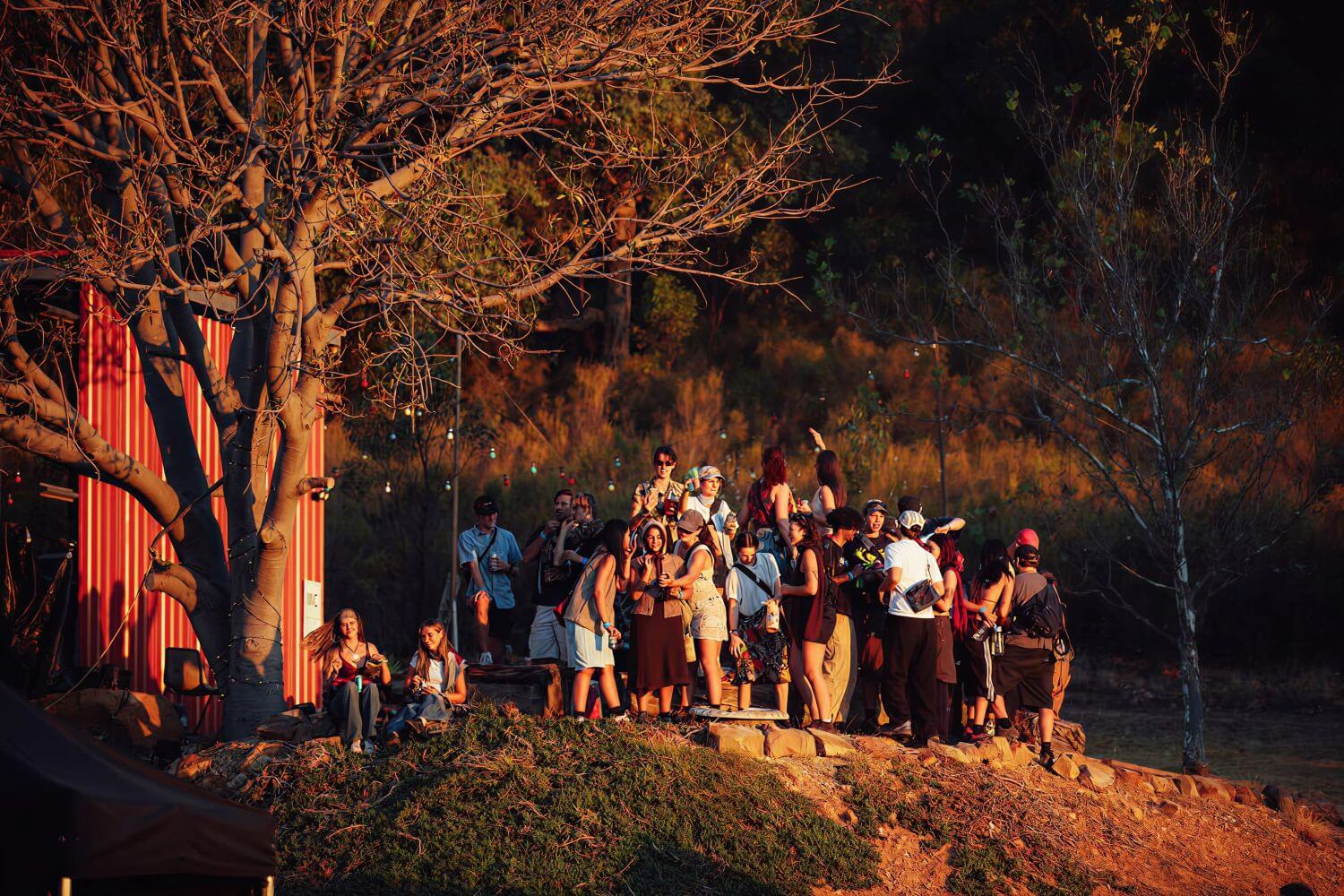Banner Image 3