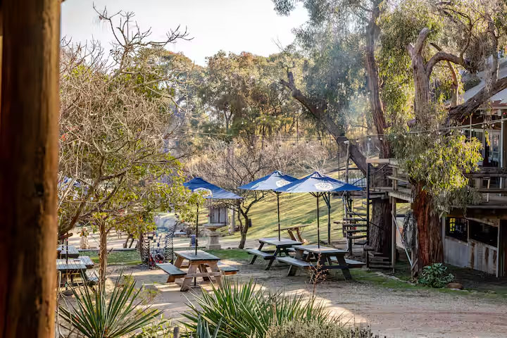 beer garden 4
